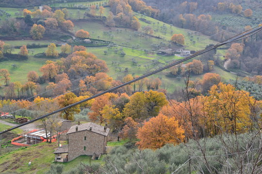 autumn.
