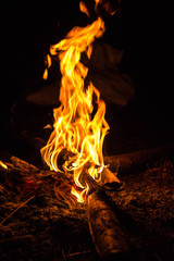 A burning fire, flames