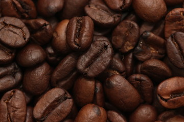 Roasted coffee beans