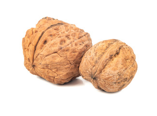 Large and small walnut