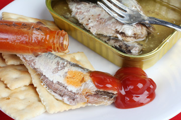 Eating Sardines on Saltine Crackers with Catsup and Hot Sauce