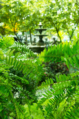 Image of fountain multi-tiered in garden shoot through green branches of tree.