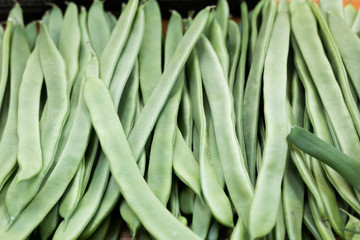 Judias verdes tiernas 