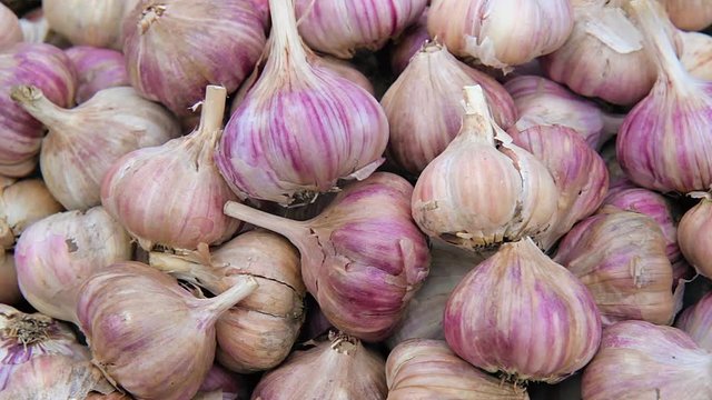 close up of garlic background. garlic on market table