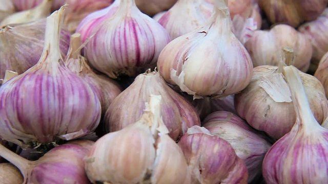 White garlic pile texture. Fresh garlic on market table closeup photo. Vitamin healthy food spice image. Spicy cooking ingredient picture. Pile of white garlic heads. White garlic head heap top view