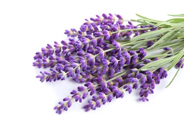 Bouquet of lavender.