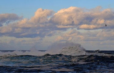 seascape with large wave at dusk