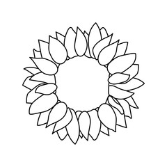 vector sunflower seed head flower