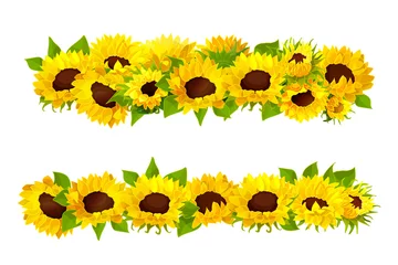 Fototapete Sonnenblumen Vektor Sonnenblumenkerne Rahmen