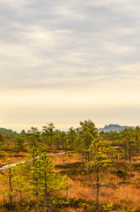 Marshland in Finland