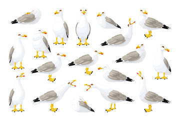 Naklejka premium vector seagull sea gull set