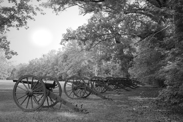 Fototapeta na wymiar Black and White Shiloh Cannons