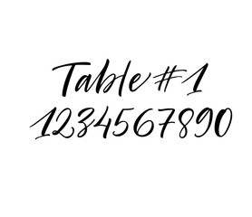 Numbering tables for the wedding. Hand drawn brush style modern calligraphy. Vector illustration of handwritten lettering.