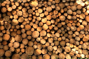 Wall of stacked wood logs as background