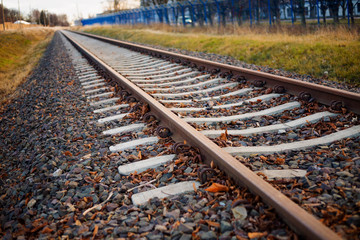 tory, jesienne liście i niebo © David0712