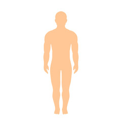 Fototapeta premium Muscular athletic male body silhouette
