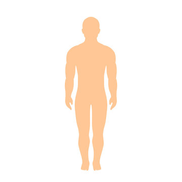 Muscular athletic male body silhouette