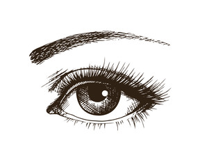 Hand-drawn beautiful female eye