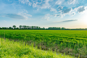 Fototapeta premium Autumn in land