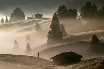 Man in the fog, Alpe di Siusi, Dolomites, Italy