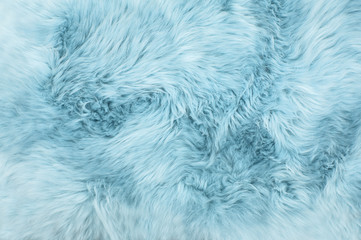 Sheep fur Blue colored sheepskin rug background texture