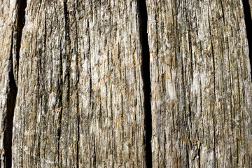 Fototapeta premium Old natural wooden background Wood background or texture Empty wooden texture background of old grunge wood
