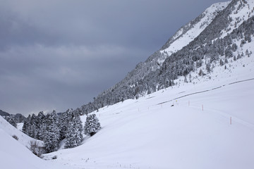 Fototapeta na wymiar Snow covered trees in the Austrian Alps mountains.