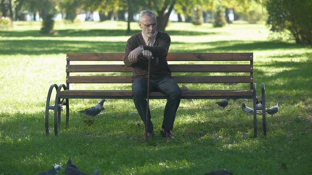 Old upset male angrily banishing pigeons in park, loneliness and retirement