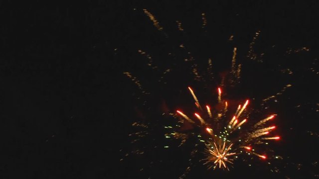 Fireworks display in night sky
