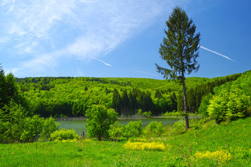 Fototapeta na wymiar Spring lake and forest landscape