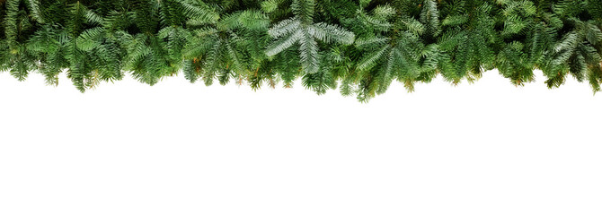 christmas garland super wide panorama banner with undecorated pure green natural fir branches...