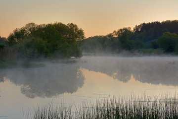 Misty morning over the river in the spring