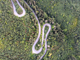 Drone view of a green forest road