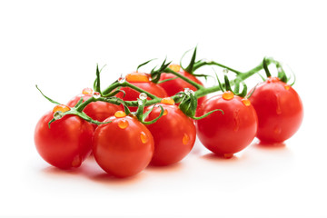 Bunch of fresh red cherry tomatoes with water drops isolated on white