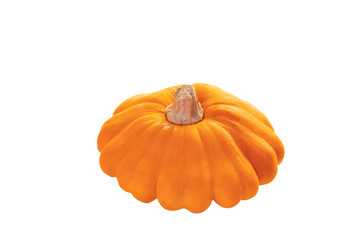 Small oval yellow Patisson for eating and for getting seeds on white background. Object Patisson isolated on white background.