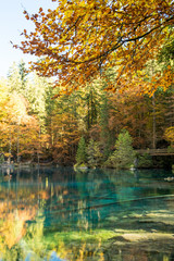 Scenery autumn view on mountain Blue Lake (Blausee ) in sunny day with turquoise water and golden leaves on trees. Natural park in Kandersteg, Switzerland
