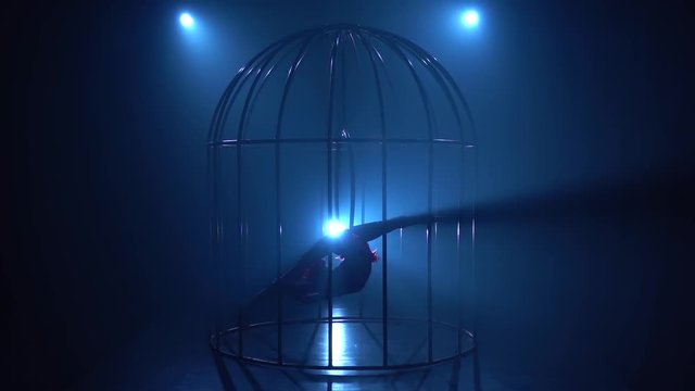 Aerial acrobatics on a rotating hoop in cage in a dark room. Blue smoke background. Silhouette. Slow motion