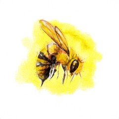 bee post card illustration