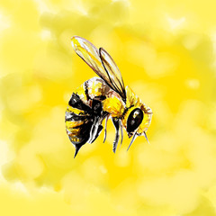 bee post card illustration