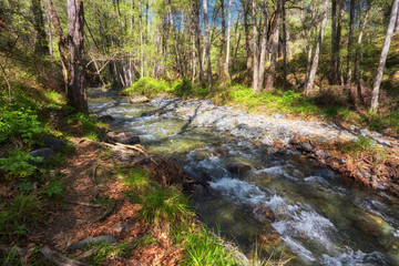 Water flowing in a mountain river at Troodos mountains, Cyprus