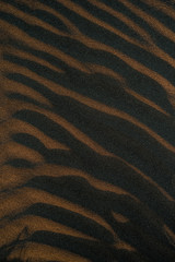 sand texture