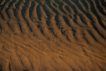 sand texture