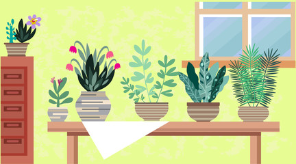 Interior with flowers6