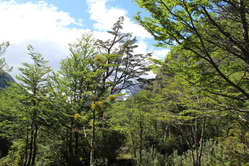 Landscape  National  Park