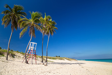 Obraz na płótnie Canvas Lifeguard chair under palm trees on a paradise beach