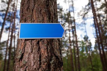 .a pointer in the form of an arrow without text is hanging on a tree in the forest