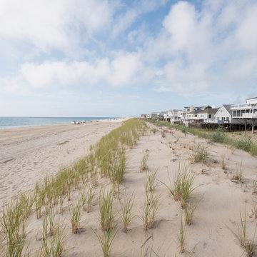 Grass on sand dunes at Bethany Beach in Delaware