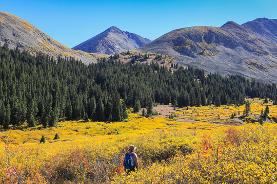 Woman hiking during autumn at Mayflower Gulch, Colorado