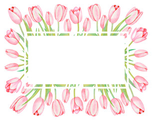 Illustration of watercolor hand drawn  oval frame with pink tulips osolated on white background. Vintage card, wedding invitation design, background with floral elements for text. Spring.