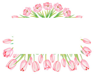 Illustration of watercolor hand drawn  oval frame with pink tulips osolated on white background. Vintage card, wedding invitation design, background with floral elements for text. Spring.